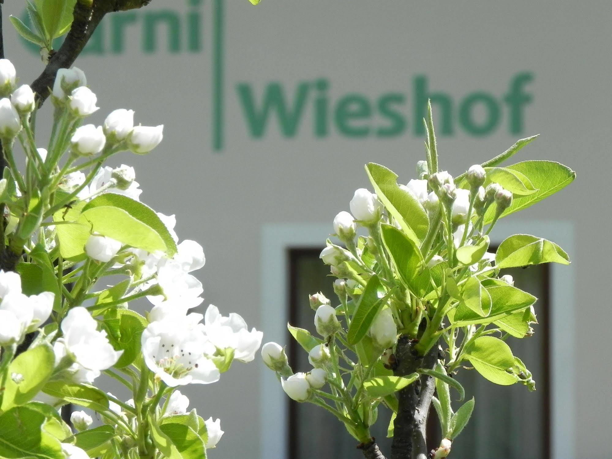 Hotel Garni Wieshof Rauris Ngoại thất bức ảnh
